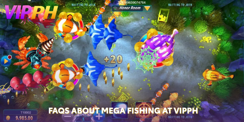 FAQs About Mega Fishing at VIPPH