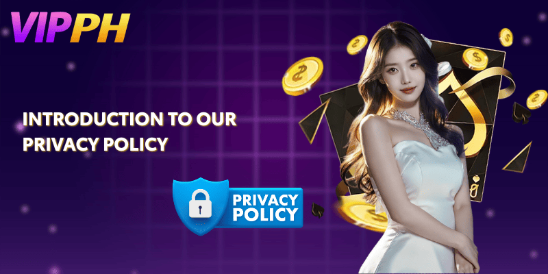 Introduction to Our Privacy Policy