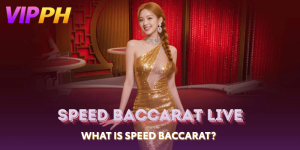 What Is Speed Baccarat?