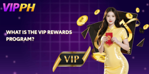 What is the VIP Rewards Program