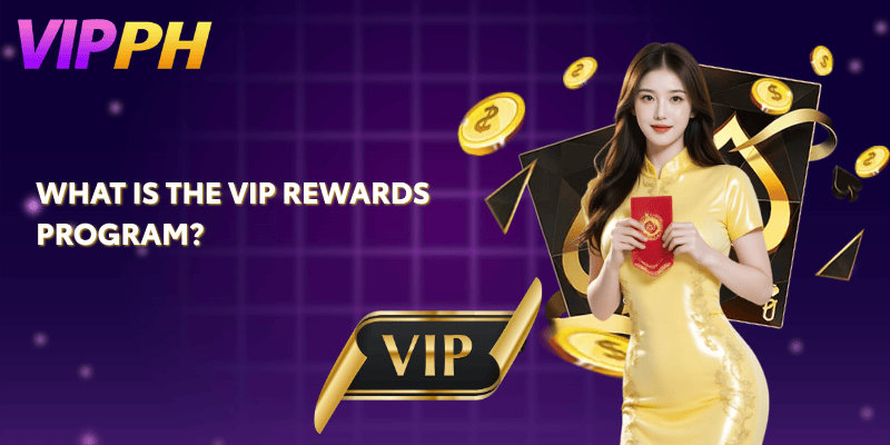 What is the VIP Rewards Program